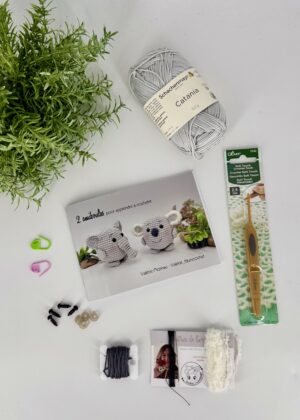 2 AMIBOULES : KIT pour apprendre à crocheter (AVEC CROCHET)